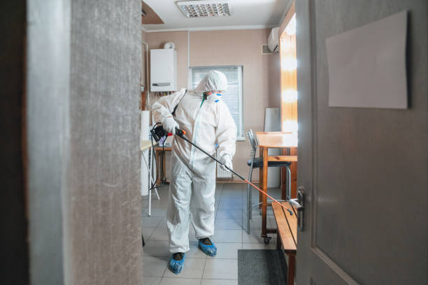 Reliable Independence, IA Mold Removal Solutions