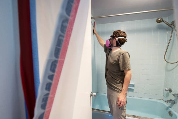 Mold Removal for HVAC Installations in Independence, IA