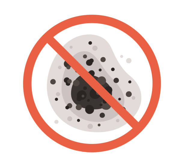 Best Mold Damage Restoration  in Independence, IA